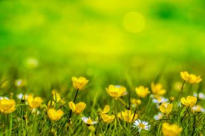 Integrated Clinical Hypnotherapy