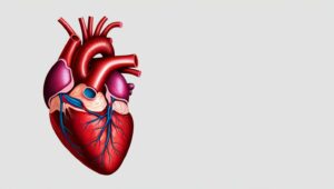 Is it a heart.....